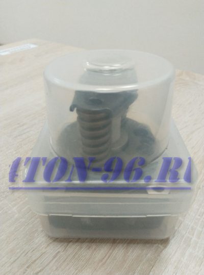 Плунжерная пара foton 1069.1099 perkins